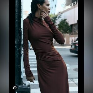 Zara Elegant Long Sleeve Brown Dress